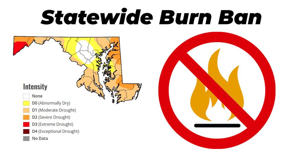 Maryland Enacts Statewide Burn Ban - What You Need To Know - Sykesville ...